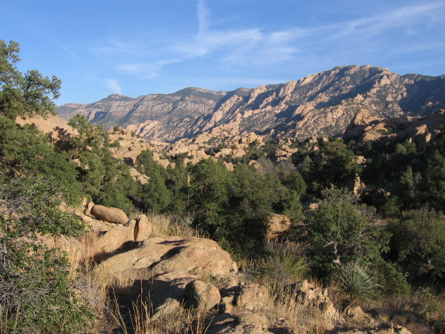 holdout canyon - santa teresa wilderness.JPG